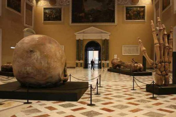 The skeleton of a giant, about 24 meters high, was discovered in Naples in 1938. | Iuve